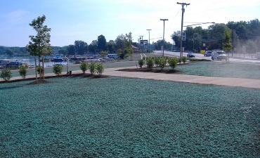 Gallery: Ice House Park